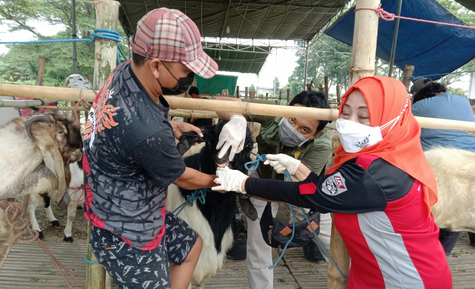Tim pemantau dari Bina Usaha Peternakan Dinas Pertanian Kabupaten Gresik ketika memeriksa kesehatan hewan kurban, Minggu (18/7/2021).