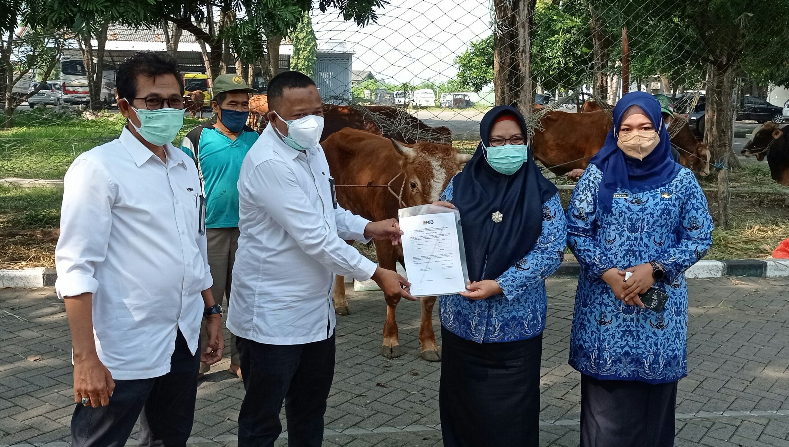 Wakil Bupati Aminatun Habibah melakukan serah terima hewan kurban kepada masyarakat, Senin (19/7/2021)