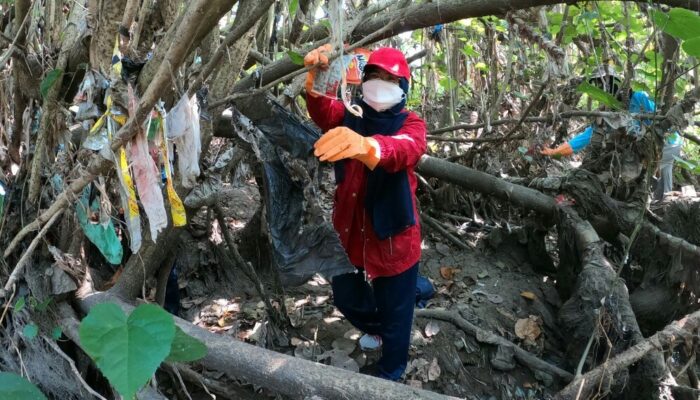 Puluhan Aktivis Lingkungan Ekspedisi Pohon Plastik di Kali Brantas Gresik