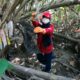 Seorang aktivis lingkungan lakukan ekspedisi Pohon Plastik kali Brantas, Kamis (19/8/2021).
