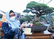 Wakil Bupati Gresik Aminatun Habibah saat melihat bonsai milik salah satu peserta yang di lombakan di kontes Bonsai, Kamis (7/10/2021)./ Foto: Humas Pemkab
