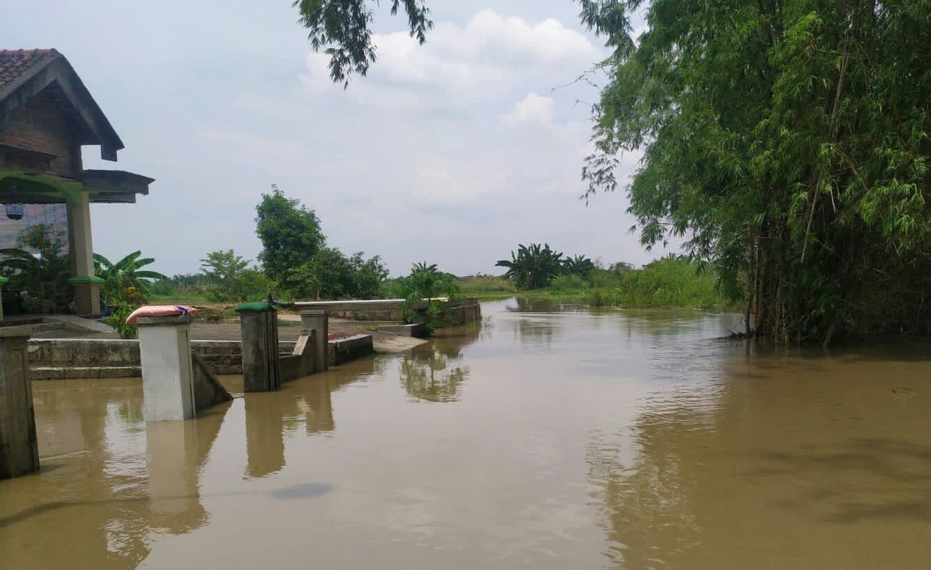 Luapan air bah Kali Lamong di rendam sawah dan jalan di Kecamatan Balongpanggang dan Benjeng, Rabu (3/11/2021)./ (Foto: istimewa)
