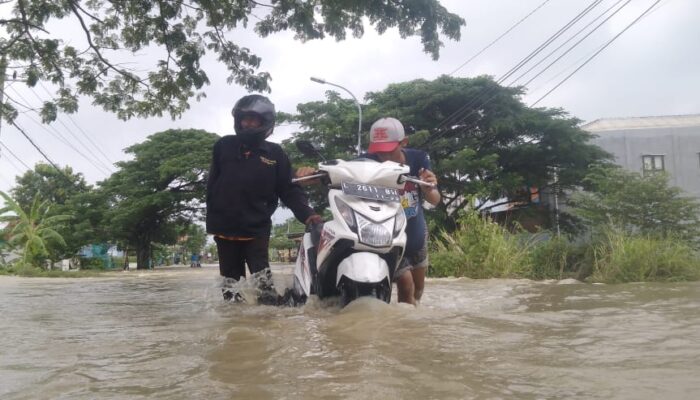 Banjir Kali Lamong, Abdullah Hamdi: Konsep Penanganan Banjir Harus Dirubah