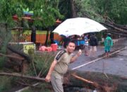 Petugas sedang melakukan evakuasi pohon tumbang di Jalan Arif Rahman Hakim Gresik akibat hujan deras, Minggu (26/12/2021)./ Foto: Bram