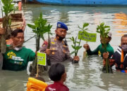 polisi mangrov 1