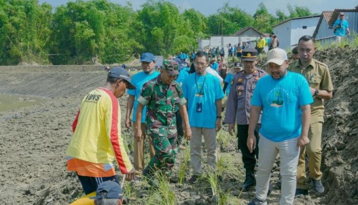 Mitigasi Bencana, Bupati Gresik Tanam Rumput Vetiver di Bantaran Kali Lamong