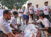 Pererat Silaturahmi Warga Surabaya, Orang Muda Ganjar Jatim Berkurban Sapi
