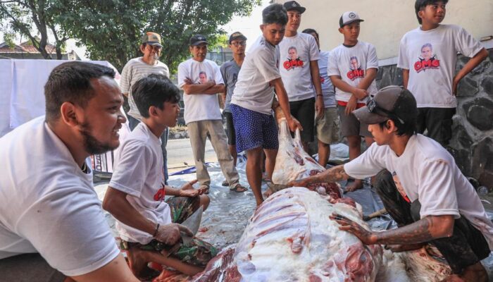 Pererat Silaturahmi Warga Surabaya, Orang Muda Ganjar Jatim Berkurban Sapi