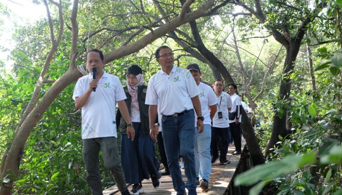 Cegah Abrasi di Telok Lamong, Petrokimia Gresik Tanam Ribuan Pohon Mangrove
